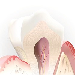 Inside of tooth 